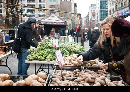 Käufer betrachten Gemüse Auswahl an kalten Tagen unter bedecktem Himmel im Winter grünen Bauernmarkt Union Square in New York Stockfoto