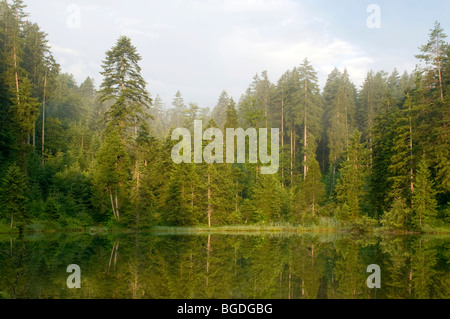 Lake Riedener, Rieden, Lech Valley, Außerfern, Tirol, Austria, Europe Stockfoto