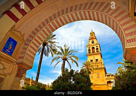 Torre del Alminar (Glockenturm) von der Mezquita (-Moschee-Kathedrale), gesehen vom Eingang zur Kathedrale, Córdoba, UNES Stockfoto