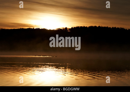 Sonnenaufgang am Woerthsee See, Oberbayern, Deutschland, Europa Stockfoto