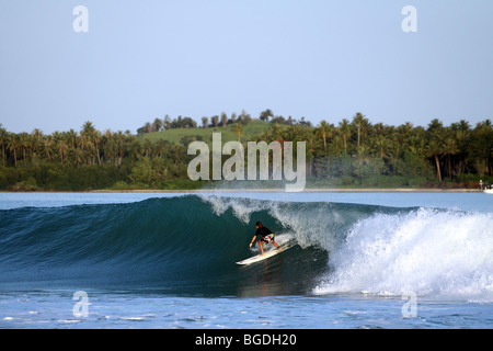 Junge lokale Surfer auf einer Welle in der malerischen Kulisse des Lagundri Bucht auf der Insel Nias, Sumatra, Indonesien Stockfoto