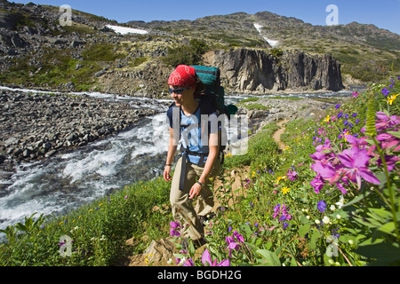 Junge Frau, Wandern, Wandern, Wanderer mit Rucksack, blühen Alpenblumen, historische Chilkoot Pass, Chilkoot Trail, Creek werden Stockfoto
