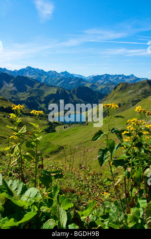 Seealp See, Laufbacher Eck-Weg-Wanderweg, Berg Nebelhorn, Oberstdorf, Allgäu, Bayern, Deutschland, Europa Stockfoto