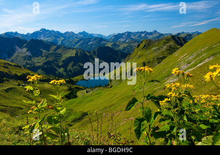 Seealp See, Laufbacher Eck-Weg-Wanderweg, Berg Nebelhorn, Oberstdorf, Allgäu, Bayern, Deutschland, Europa Stockfoto