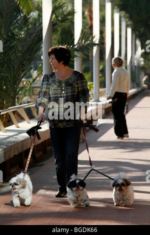 Frau zu Fuß drei kleine Hunde auf der Strandpromenade von Larvotto, Fürstentum Monaco, Cote d ' Azur, Europa Stockfoto