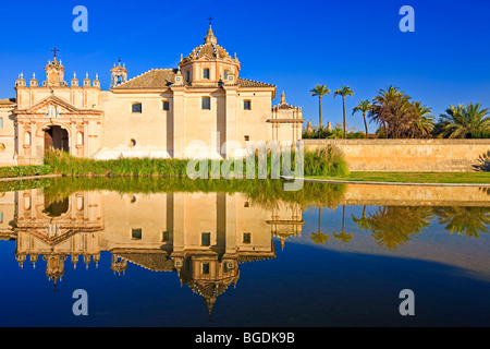 Reflexionen auf einem Teich in der Jardin De La Cartuja das Monasterio de Santa Maria de las Cuevas - La Cartuja de Sevilla (Monast Stockfoto
