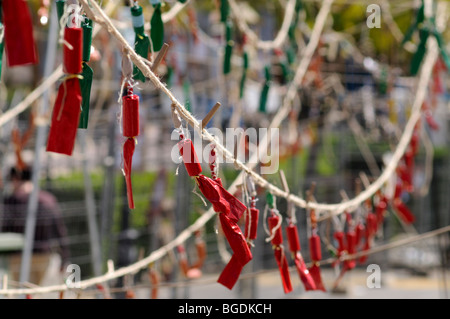 Feuerwerkskörper für "La Mascletà" (Feuerwerk). "Les Falles" (auf Valencianisch) aka "Las Fallas" (auf Spanisch). Valencia. Spanien Stockfoto