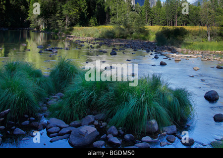 Merced River im Sommer, Yosemite Tal, Yosemite-Nationalpark, Kalifornien Stockfoto