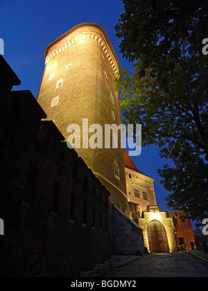 Königsschloss Wawel beleuchtet bei Nacht, Krakau - Polen Stockfoto