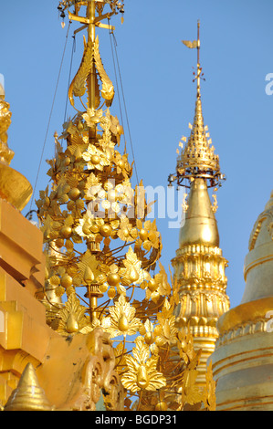 Goldene Stupas, Shwedagon-Pagode, Yangon, Birma, Myanmar Stockfoto