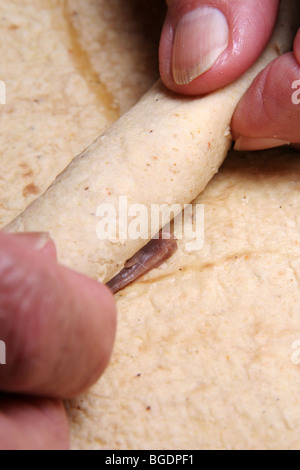 Mexikanische gebratene Tacos "Flautas" genannt. Vorbereitung Stockfoto