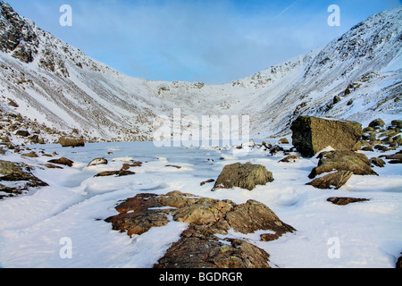 Ziegen-Wasser in den Tiefen des Winters Stockfoto