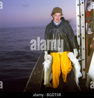 Nordsee-Kabeljau-Fischer / Trawlerman tragen zwei Kabeljau auf einem Seine Netter Trawler Fischerboot. Stockfoto