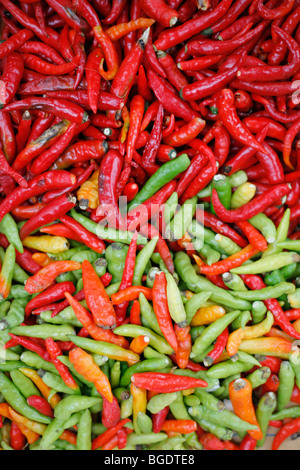 Gemischte Chilischoten in einem laotischen Markt Stockfoto