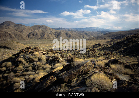 Indianische Canyons Andreas Canyon Abschnitt Palm Springs Kalifornien USA Stockfoto