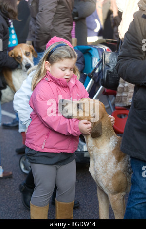 Ein kleines Mädchen freundet sich mit einem Fox Hound Tagung The Fitzwilliam Hunt The Haycock Hotel, Wansford, Cambridgeshire Stockfoto