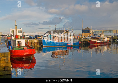 Stromness Hafen Festland Orkney Highland Region Schottland SCO 5685 Stockfoto