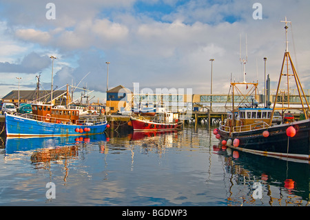 Stromness Hafen Festland Orkney Highland Region Schottland SCO 5686 Stockfoto