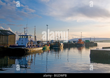 Stromness Hafen Festland Orkney Highland Region Schottland SCO 5687 Stockfoto