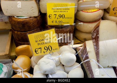 Italienische Käse, Bologna, Emilia Romagna, Italien Stockfoto