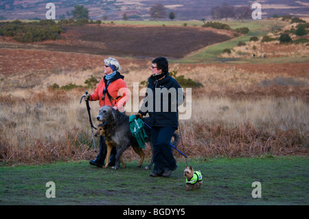 Zwei Frauen Spaziergang mit seinem Hund In Ashdown Forest East Sussex England an einem Wintertag Stockfoto