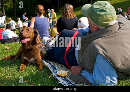 Masse der Leute mit ihren Hunden sitzen auf dem Rasen Stockfoto