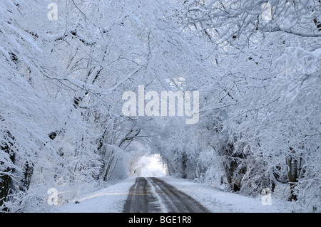 Winter Wunderland schmales Dorf Landstraße atemberaubender Überdachungstunnel Schneebedeckung an Bäumen in Doddinghurst Essex England Großbritannien Stockfoto