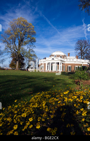 Monticello, Heimat von Thomas Jefferson mit gelben Blüten im Garten, Charlottesville, Virginia, USA. Stockfoto