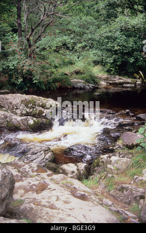 Wasserfall und Fluss über Aira Kraft Wasser fallen. Der Fluss ist der Aira Beck genannt. Bereich der hervorragenden natürlichen Schönheit. Stockfoto