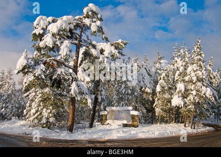 Schweren Winter Schneefall Glenmore unterwegs am Colyumbridge Aviemore Inverness-Shire.  SCO 5735 Stockfoto