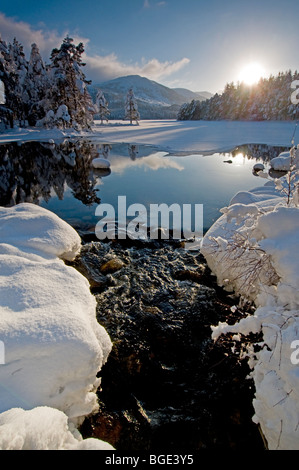 Wintersonne auf Loch ein Eilean am Rothiemurchus, Aviemore Inverness-Shire, Schottland.   SCO 5745 Stockfoto