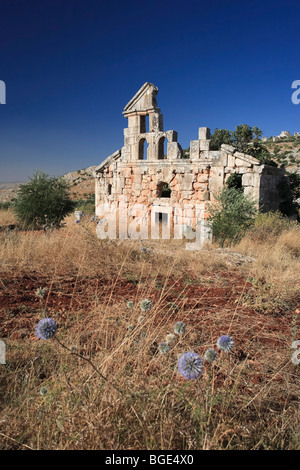Syrien, Aleppo, die Toten Städte, Ruinen des Dorfes Deir Samaan Stockfoto