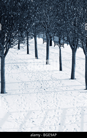 Ein Pfad durch den Kanal in Salford Quays in Manchester, England, nach einer Schneedusche. Stockfoto