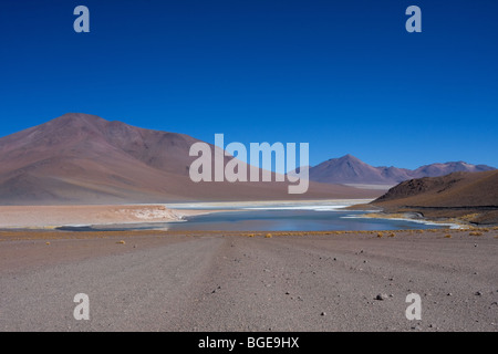 Wüstenlandschaft ganz oben auf dem Altiplano in den bolivianischen Anden, Südamerika Stockfoto