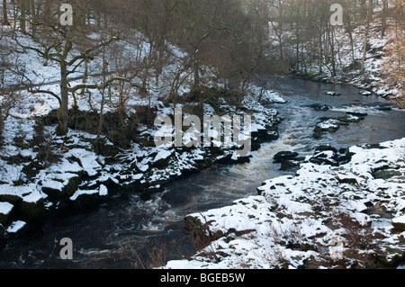 Des Flusses Wharfe in der Nähe von Bolton Abbey, Wharfedale, North Yorkshire, England Stockfoto