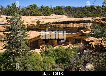 Touristen ansehen Spruce Tree House close up in Mesa Verde in Colorado. Stockfoto