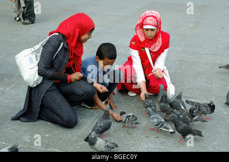 Touristischen Fütterung verwilderte Tauben Columba Livia Toren Trafalgar Square London England UK Stockfoto