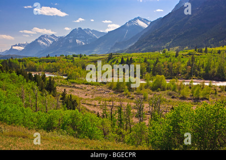 Blakiston Bach, der durch das Blakiston Tal in Waterton Lakes National Park, Southern Alberta, Alberta, Kanada. Stockfoto