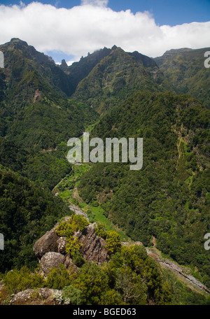 Der Regenwald von Madeira von Ribeiro Frio mit Eagle Rock am Horizont gesehen Stockfoto