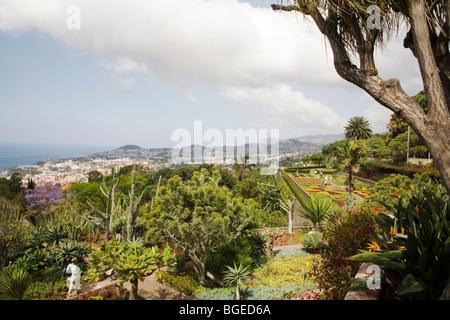 Funchal botanische Garten auf Madeira. Die Stadt Funchal können in der Ferne gesehen werden. Stockfoto
