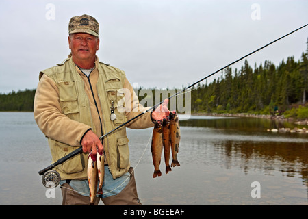 Fischer (Woody) mit einer Fangmenge von gesprenkelte Forelle, gefangen in der Nähe von Tuckamore Lodge, Main Brook, Autobahn-432, Viking Trail, Trails Stockfoto