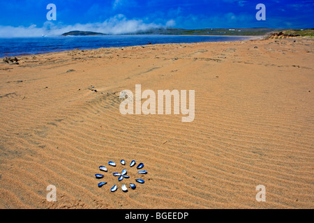 Muschel Shell-Kunst-Design angelegt am Strand an der Mündung des Flusses Pinware in der Pinware River Provincial Park, Pinware al Stockfoto