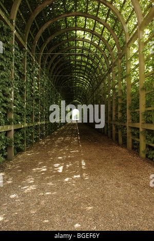 Schönen gewölbten Pergola, auf dem Gelände des Hampton Court Palace. Stockfoto