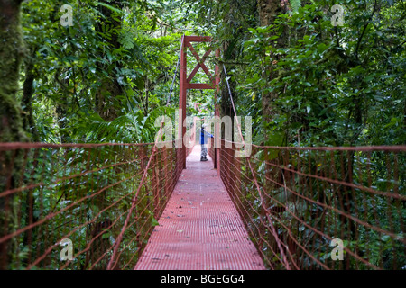 Ein Besucher steht auf einer Vordach-Brücke in Monteverde Nebelwald Reservat, Costa Rica Stockfoto