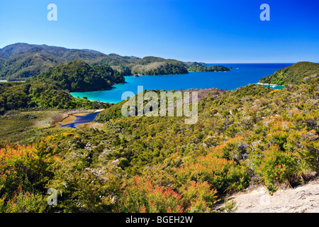 Anchorage Bucht, Abel Tasman National Park, Tasman District, Südinsel, Neuseeland. Stockfoto