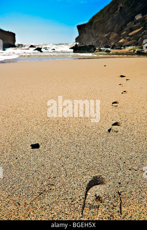 Kohaihai Strand zu Beginn des Heaphy Track in der Nähe von Karamea, West Coast, Südinsel, Neuseeland Stockfoto