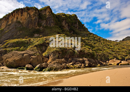 Kohaihai Strand zu Beginn des Heaphy Track in der Nähe von Karamea, West Coast, Südinsel, Neuseeland Stockfoto