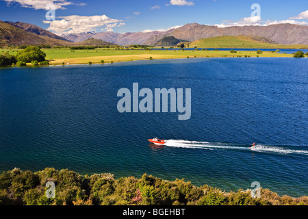 Wasserschifahrer am Lake Wanaka auf Glendhu Bay, Central Otago, Südinsel, Neuseeland. Stockfoto