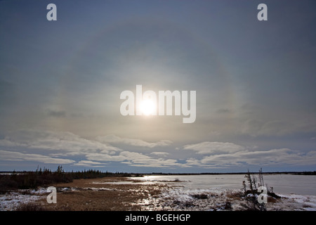 Halo um die Sonne über See Iwago, Churchill Wildlife Management Area, Churchill, Manitoba, Hudson Bay, Kanada. Stockfoto