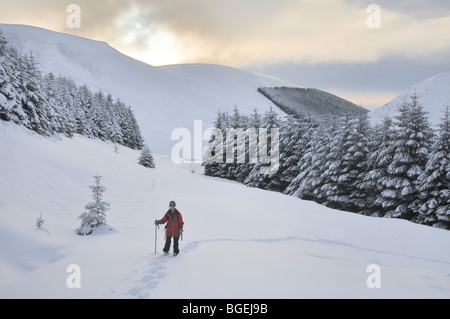 Schneeschuhwandern im Wald unter Capel fiel, Southern Uplands, Schottland Stockfoto